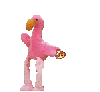 a dancing flamingo beanie baby